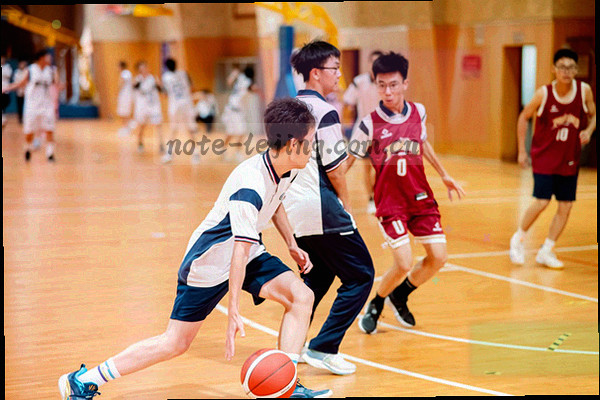 手绘战术板线条与笔记纸张纹理